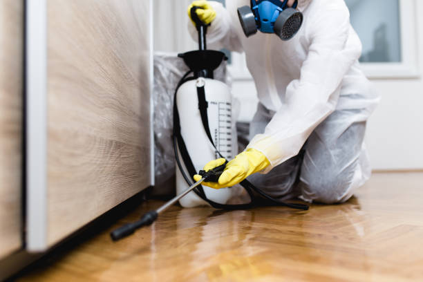 Best Exterminator Services  in Blackshear, GA