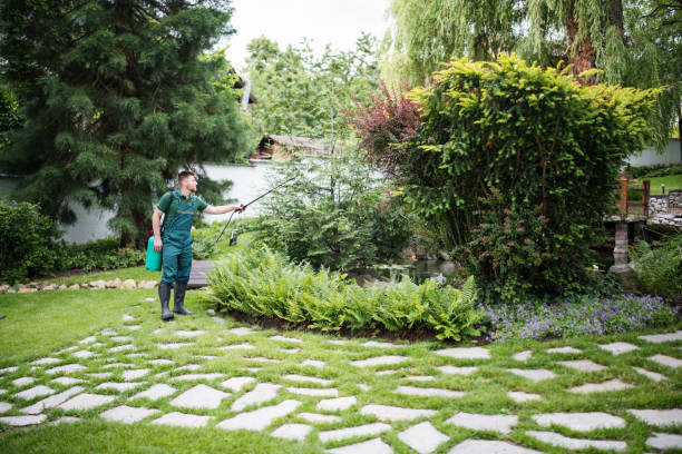 Best Local Pest Control Services  in Blackshear, GA