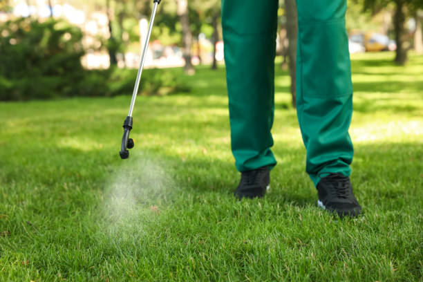 Best Pest Prevention Services  in Blackshear, GA