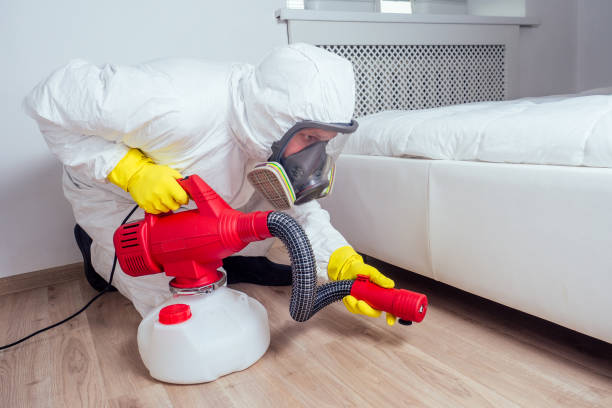 Best Pest Inspection Near Me  in Blackshear, GA