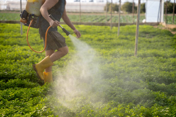Best Mosquito Control Services  in Blackshear, GA